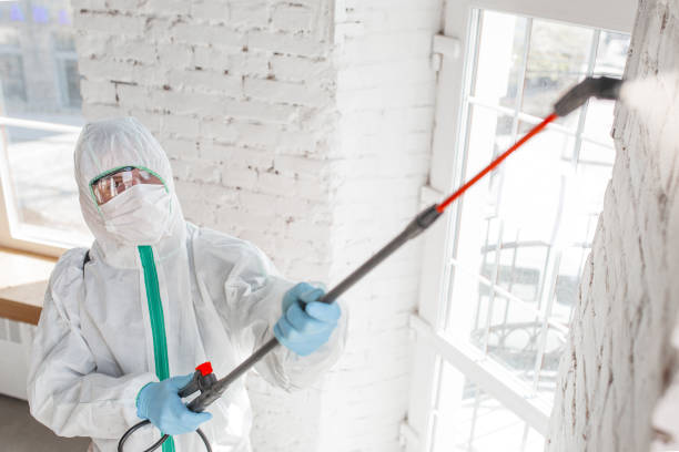 Best Water Damage & Mold Remediation  in Lake Of The Pines, CA