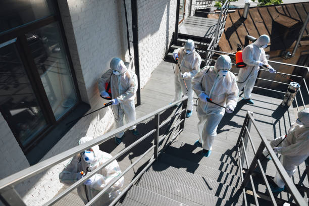 Reliable Lake Of The Pines, CA Mold Removal Solutions