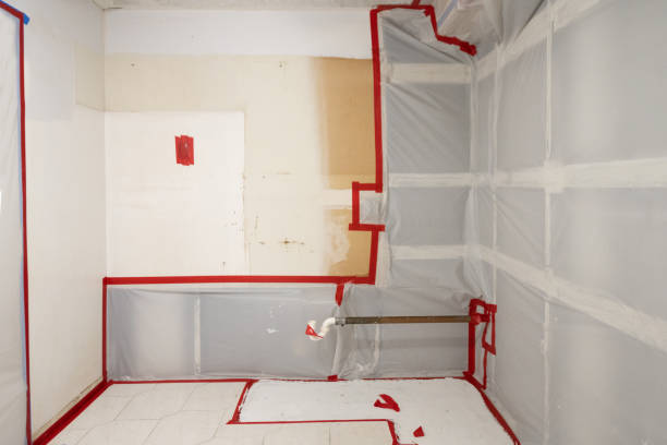 Best Biohazard Mold Removal  in Lake Of The Pines, CA